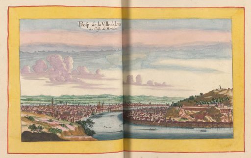 View of Lyon from the South