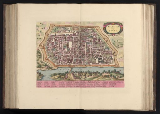 View of Pavia in bird's-eye perspective