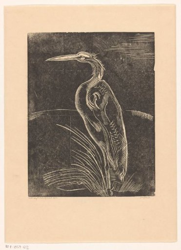 Heron