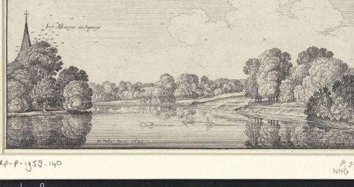 River view with swans near Albury
