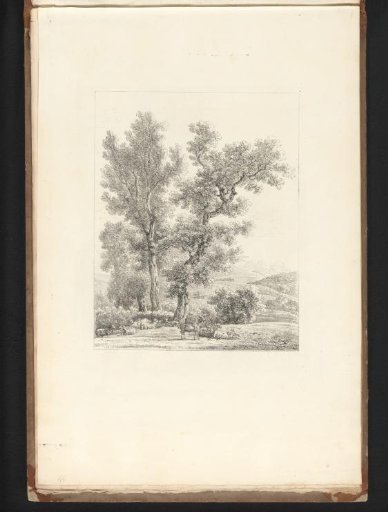 Landscape with a flock of sheep