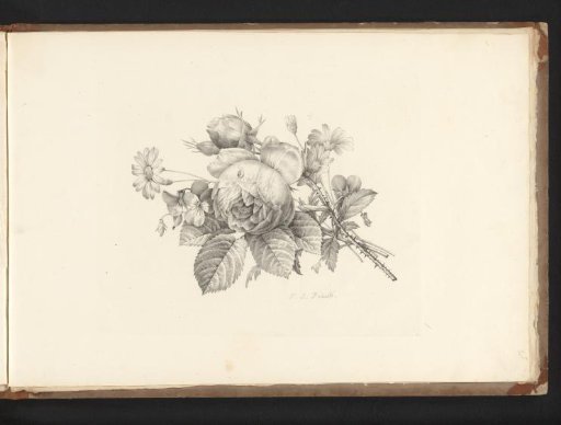 Bouquet with a rose