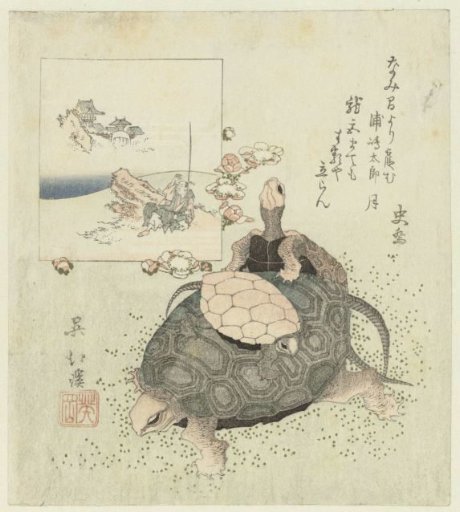 Turtles