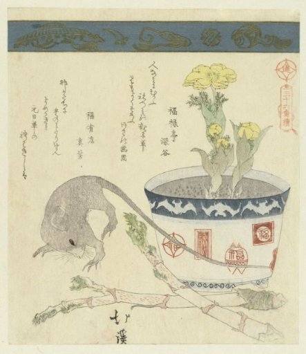 Rat and Bowl with Adonis