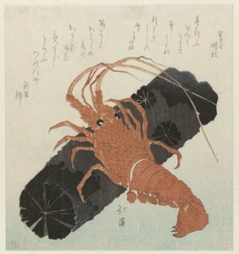 Crab with Charcoal