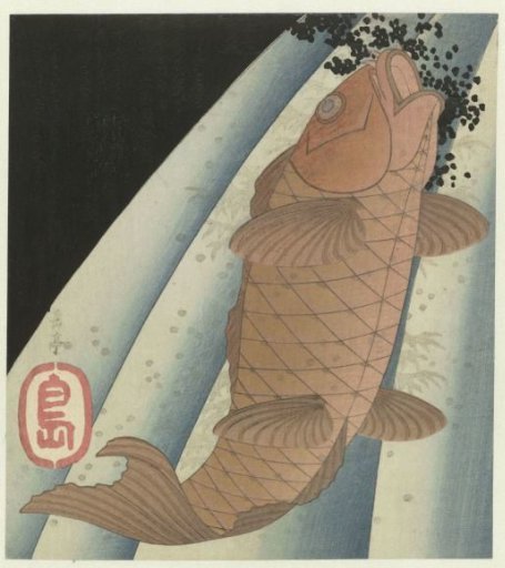 Carp jumping against a waterfall