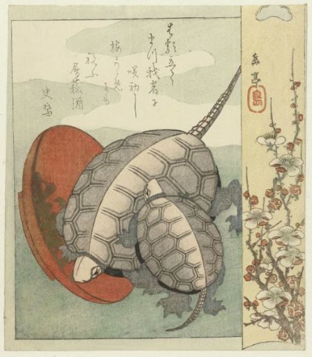 Turtles with a Sake Cup