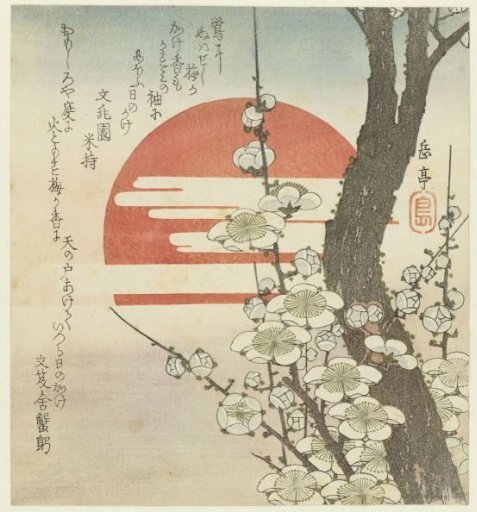 Plum Blossoms Before the Rising Sun