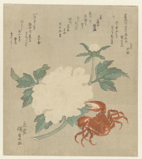 Peony with a crab