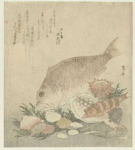 Fish and Shells
