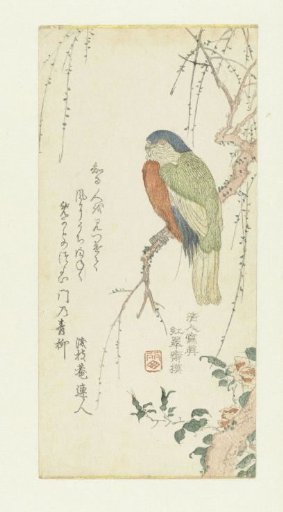 Parrot in a Plum Tree