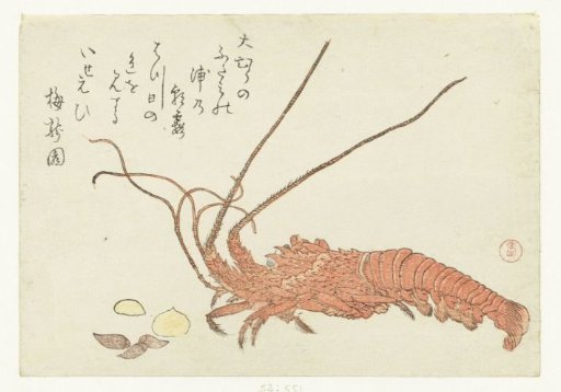 Lobster and Shells