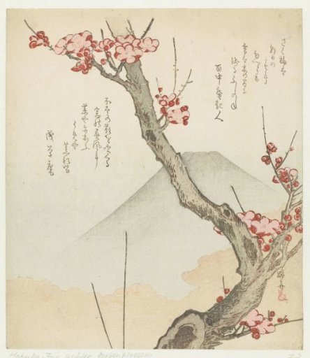 Mount Fuji and a Blossoming Plum