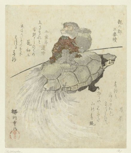 Monkey with a long-haired turtle