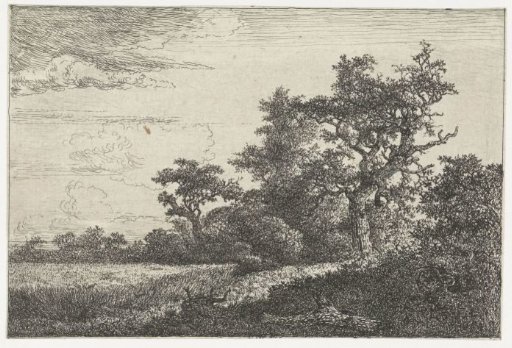 The Cornfield