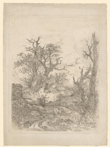 Boy sitting in front of a leafless tree, in the middle three tree trunks