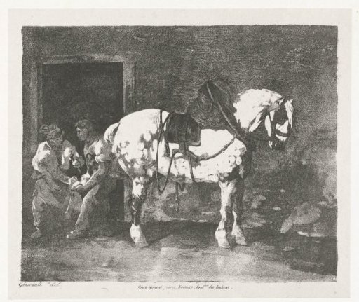 A horse being shod