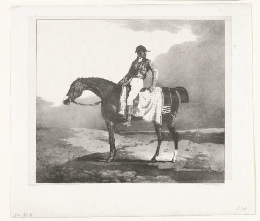Jockey on an English thoroughbred