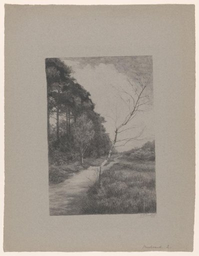 Path between trees