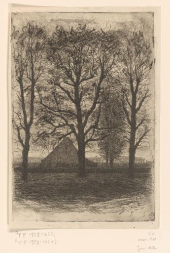 Farmhouse between tall trees, Ewijkshoeve