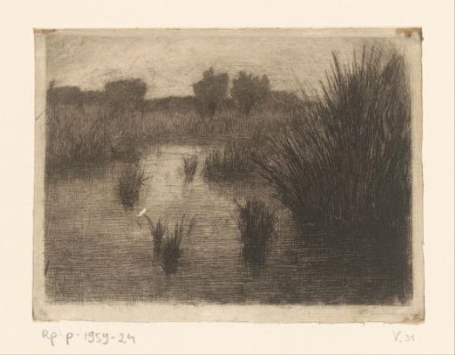 Landscape with water and reeds