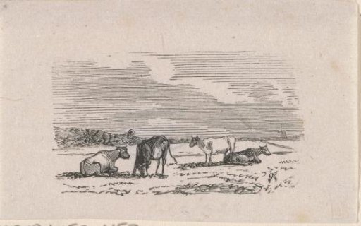 Four cows in a meadow