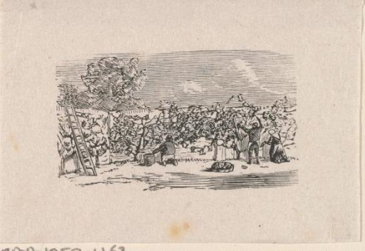 Two men and a woman working in an orchard