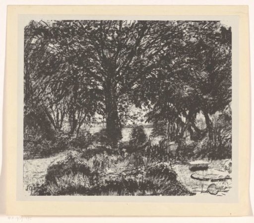 Garden with large tree