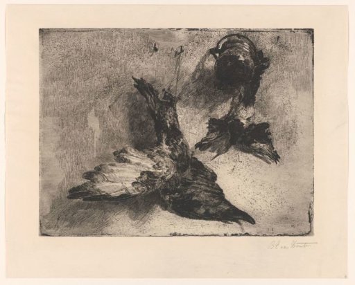 Two Dead Birds Hanging
