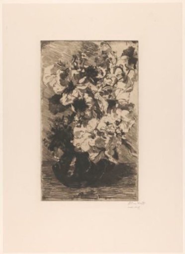 Petunias in a Pitcher