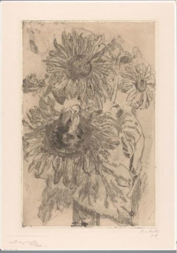 Three Sunflowers in a Vase