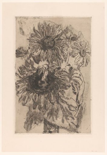 Three Sunflowers