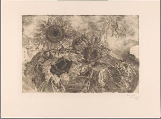 Five Sunflowers