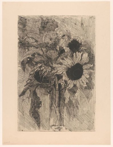 Sunflowers in a Vase