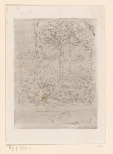 Country road with trees, Bussum