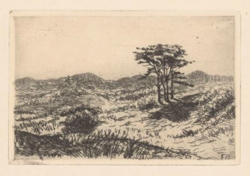 Hill landscape with three pines