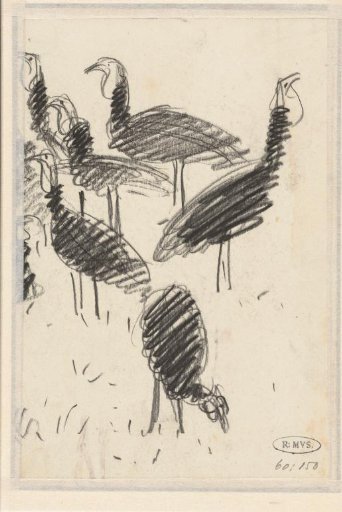 Six turkeys