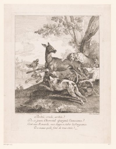 Stag Attacked by Hunting Dogs