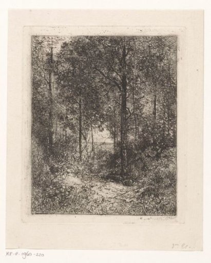 Wooded Landscape