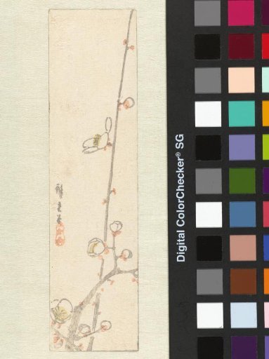 Front of Envelope with Image of Plum Blossom Branches