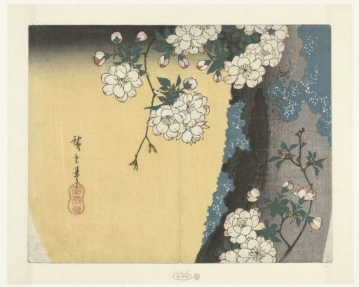 Mossy Trunk and Cherry Blossoms