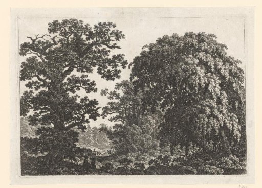 Wooded landscape with a view through to a farm