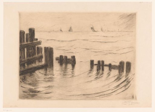 Seaview with Breakwaters near Vlissingen