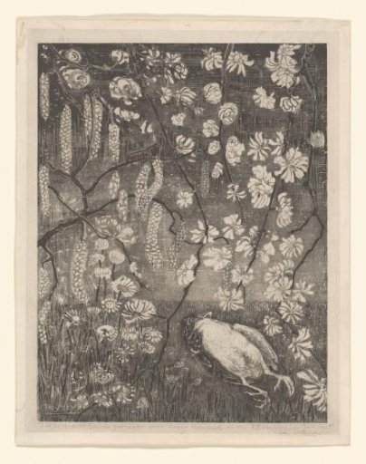 Dead bird under hazel and honeysuckle branches