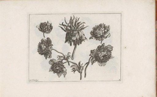 Album page with flowers