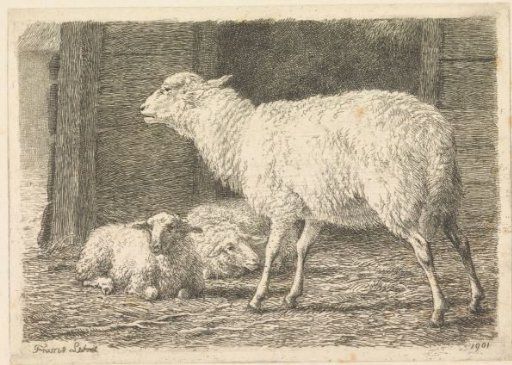 Sheep and Lambs in a Barn