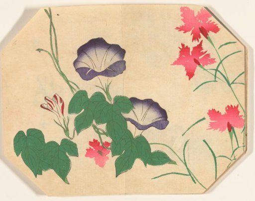 Blooming morning glories and carnations