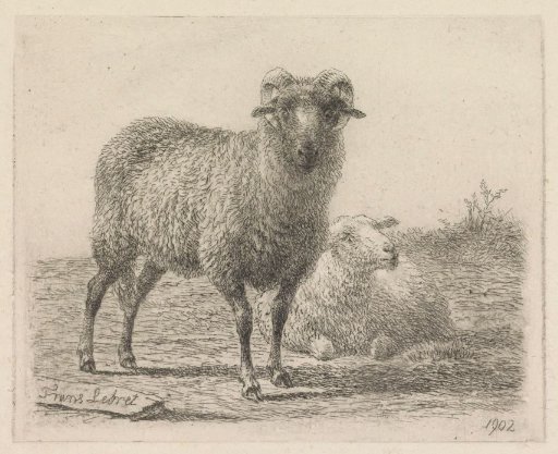 Ram and Sheep