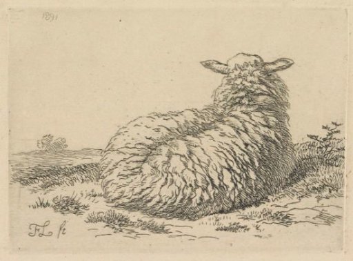 Lying Sheep