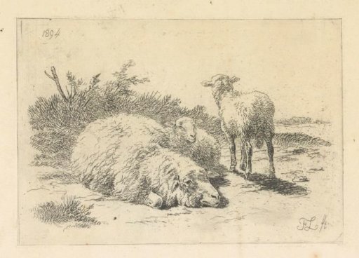 Sheep and two lambs